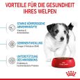 Royal Canin Mini Puppy5
