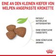 Royal Canin Mini Puppy6