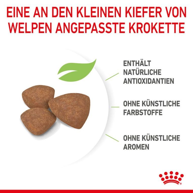 Royal Canin Mini Puppy6