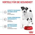 Royal Canin Mini Starter Mother & Babydog5