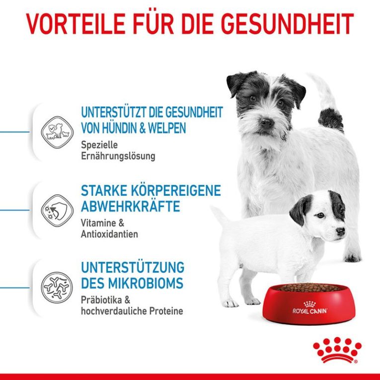 Royal Canin Mini Starter Mother & Babydog5