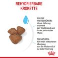Royal Canin Mini Starter Mother & Babydog6