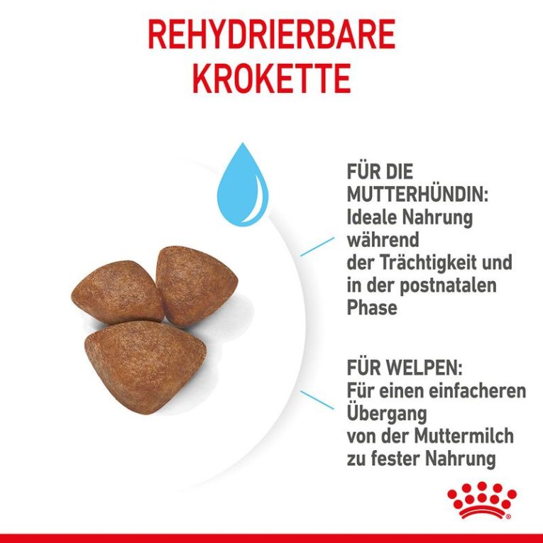 Royal Canin Mini Starter Mother & Babydog6
