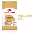 Royal Canin Pomeranian Adult1