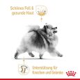 Royal Canin Pomeranian Adult3