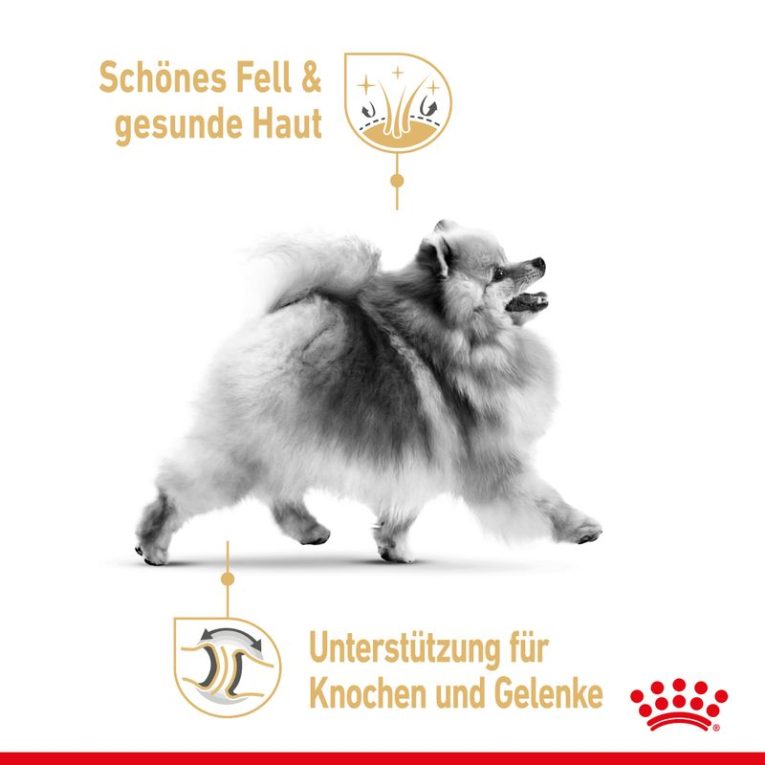 Royal Canin Pomeranian Adult3