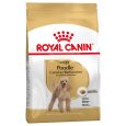 Royal Canin Poodle Adult