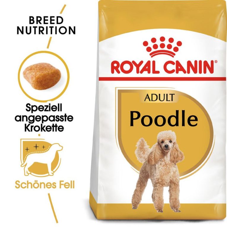 Royal Canin Poodle Adult1