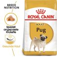 Royal Canin Pug Adult1