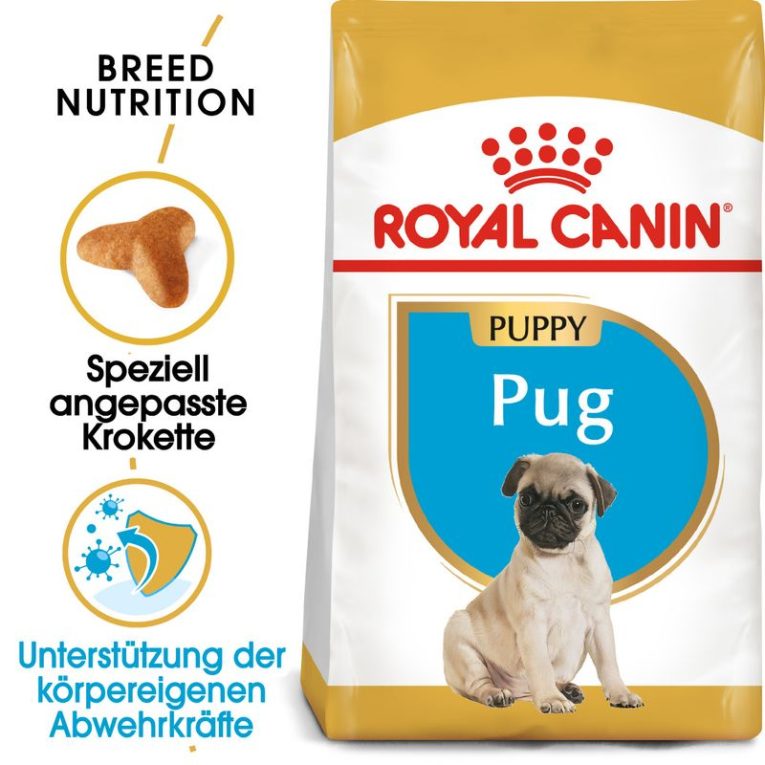 Royal Canin Pug Puppy1