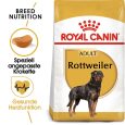 Royal Canin Rottweiler Adult1