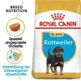 Royal Canin Rottweiler Puppy1