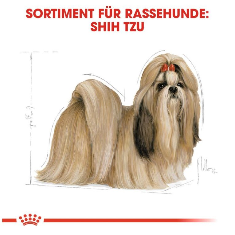 Royal Canin Shih Tzu Adult6