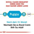 Royal Canin Shih Tzu Puppy4