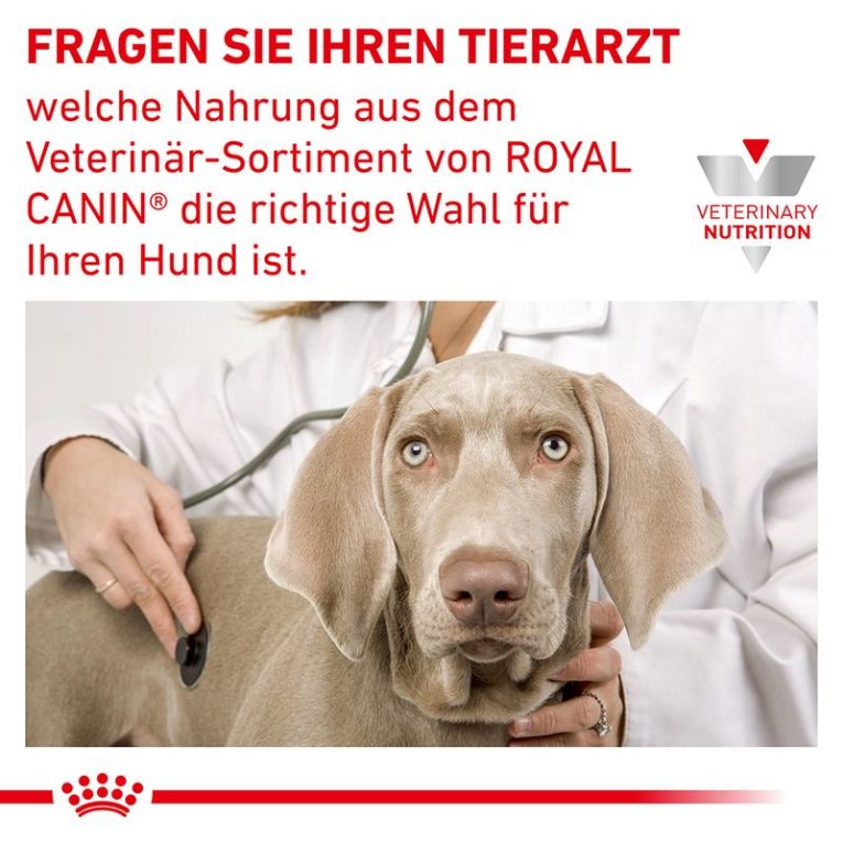 Royal Canin Veterinary Canine Anallergenic Small Dog5