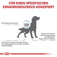 Royal Canin Veterinary Canine Anallergenic7
