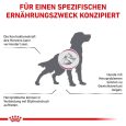 Royal Canin Veterinary Canine Cardiac1