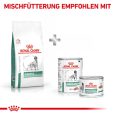 Royal Canin Veterinary Canine Diabetic6