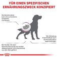 Royal Canin Veterinary Canine Early Renal1