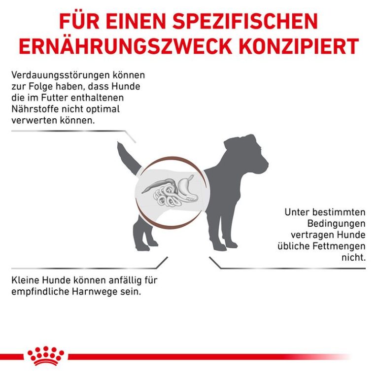 Royal Canin Veterinary Canine Gastrointestinal Low Fat Small Dog1