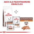 Royal Canin Veterinary Canine Gastrointestinal Low Fat Small Dog7