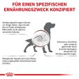 Royal Canin Veterinary Canine Gastrointestinal1