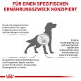 Royal Canin Veterinary Canine Hepatic1