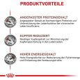 Royal Canin Veterinary Canine Hepatic3