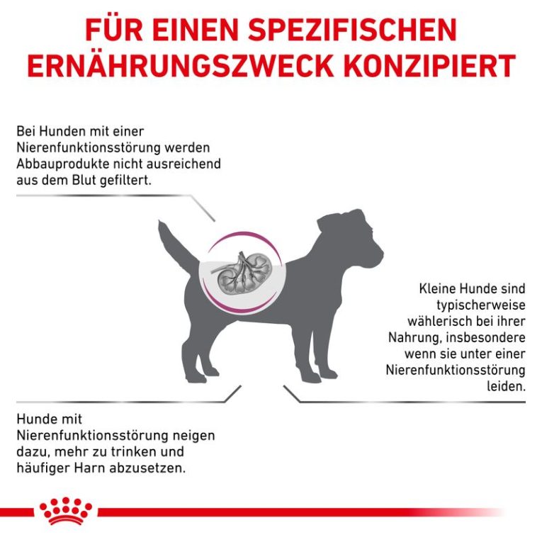 Royal Canin Veterinary Canine Renal Small Dogs1