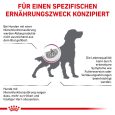 Royal Canin Veterinary Canine Renal1