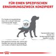 Royal Canin Veterinary Canine Skin Care6