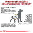 Royal Canin Veterinary Canine Urinary 6
