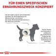 Royal Canin Veterinary Canine Urinary S-O Small Dog5