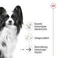 Royal Canin X-Small Adult 8+2