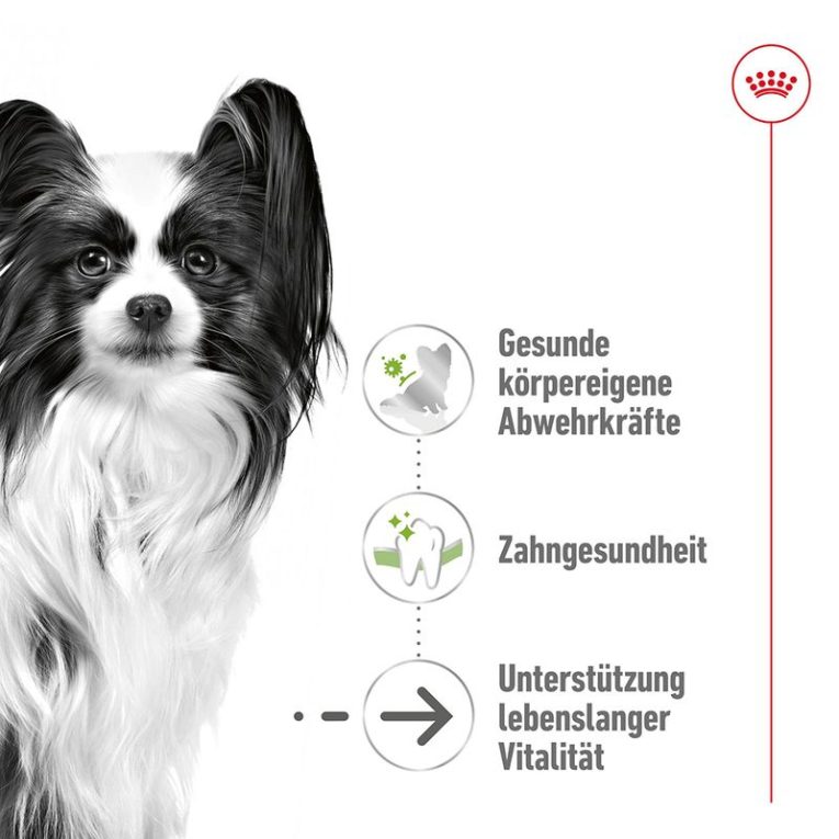 Royal Canin X-Small Adult 8+2