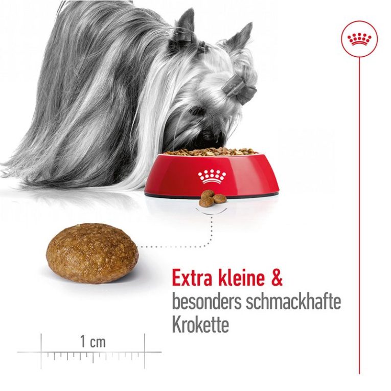 Royal Canin X-Small Adult 8+4