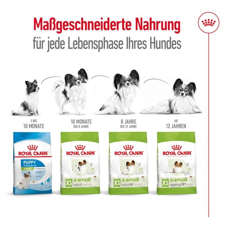Royal Canin X-Small Adult 8+5