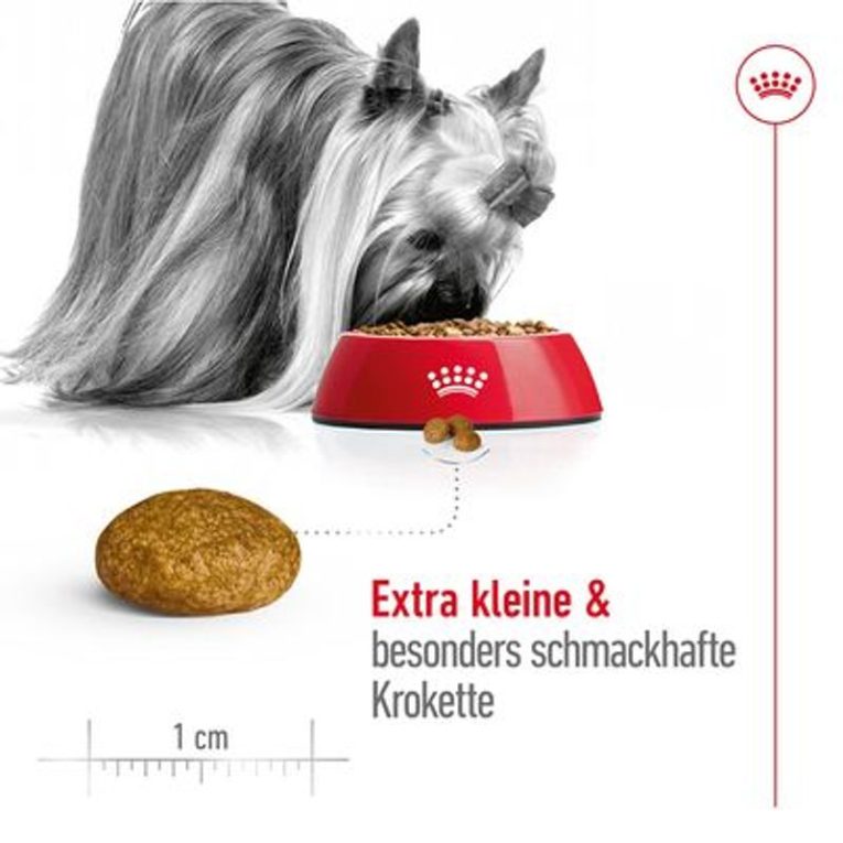 Royal Canin X-Small Adult2