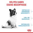 Royal Canin X-Small Puppy2