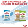 Royal Canin X-Small Puppy5