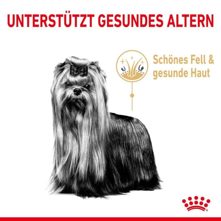 Royal Canin Yorkshire Terrier Adult 8+ 3