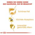 Royal Canin Yorkshire Terrier Adult4