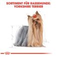 Royal Canin Yorkshire Terrier Adult5