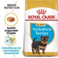 Royal Canin Yorkshire Terrier Puppy1