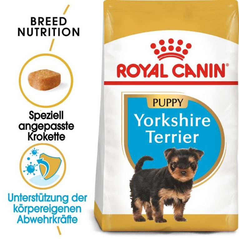 Royal Canin Yorkshire Terrier Puppy1