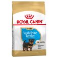 Royal Canin Yorkshire Terrier Puppy2