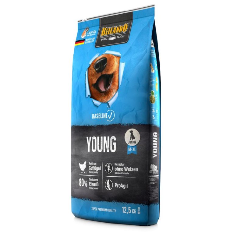 Belcando Baseline Young2