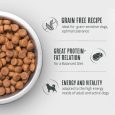 Briantos Adult Salmon & Potato - GRAIN-FREE recipe1