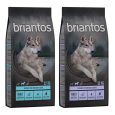 Briantos Value Pack (2 x Large Containers)