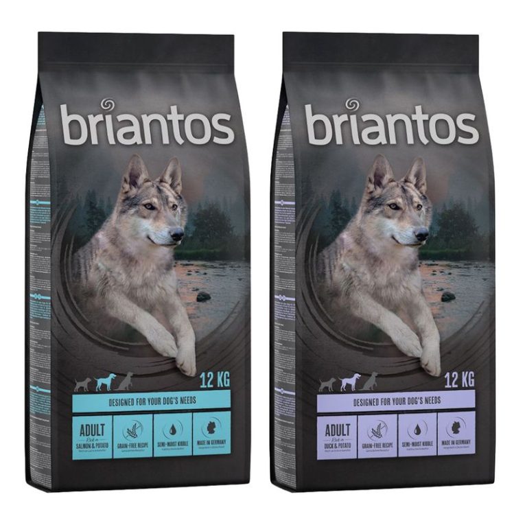 Briantos Value Pack (2 x Large Containers)